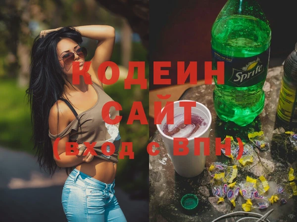 мдпв Елабуга