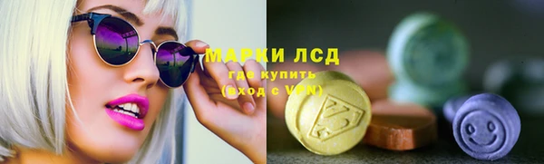 меф Ельня