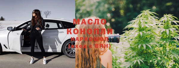 мдпв Елабуга