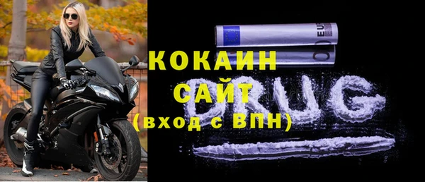 мдпв Елабуга